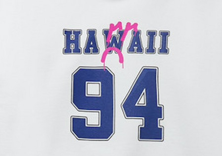 HAWAII 94 HOODIE